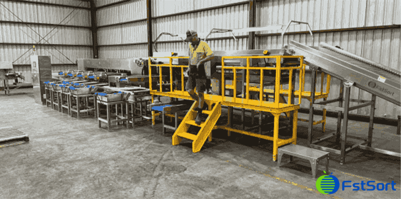 images/1773909051838Australian-Jujube-Grading & Packing-Line-successfully-installed.png